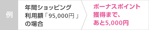 例　年間ショッピング利用額「95,000円」の場合　ボーナスポイント獲得まで、あと5,000円