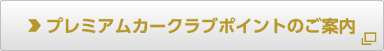 プレミアムカーポイントについての詳細はこちら